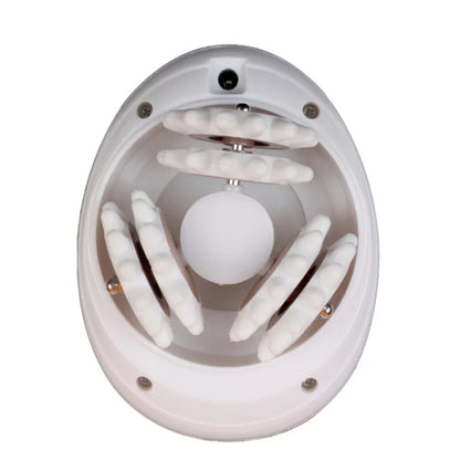 Masajeador Anticelulitis Eléctrico