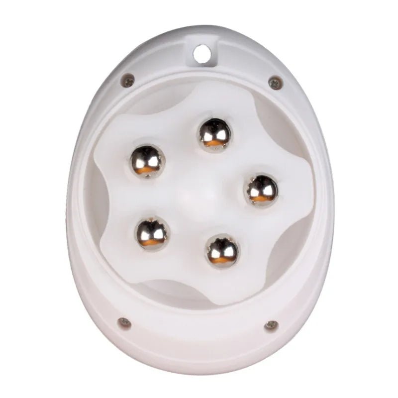 Masajeador Anticelulitis Eléctrico